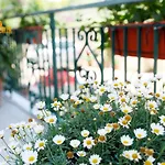 I Fiori Di Margherita Luxury Couette-café