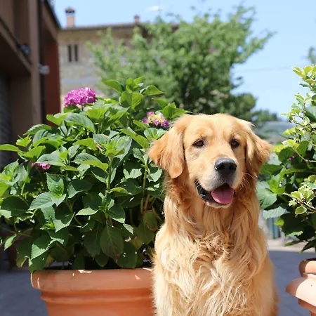 I Fiori Di Margherita Luxury Perugia