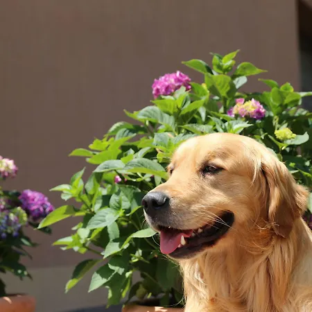 I Fiori Di Margherita Luxury 4*