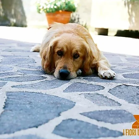 I Fiori Di Margherita Luxury 4*