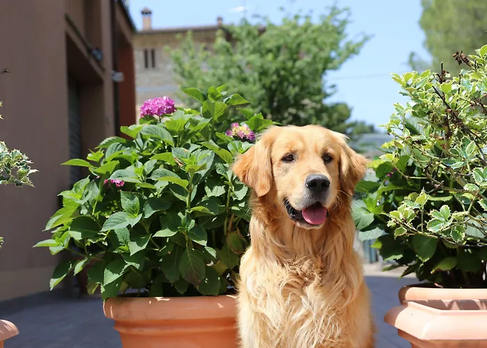 I Fiori Di Margherita Luxury Perugia